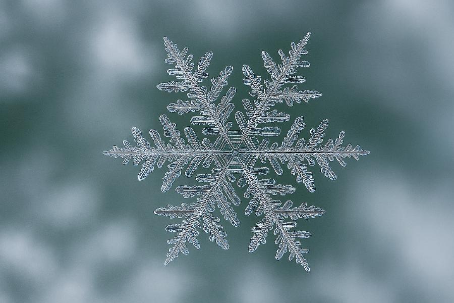 Close-Up Magnified Image of a Single Snow Flake