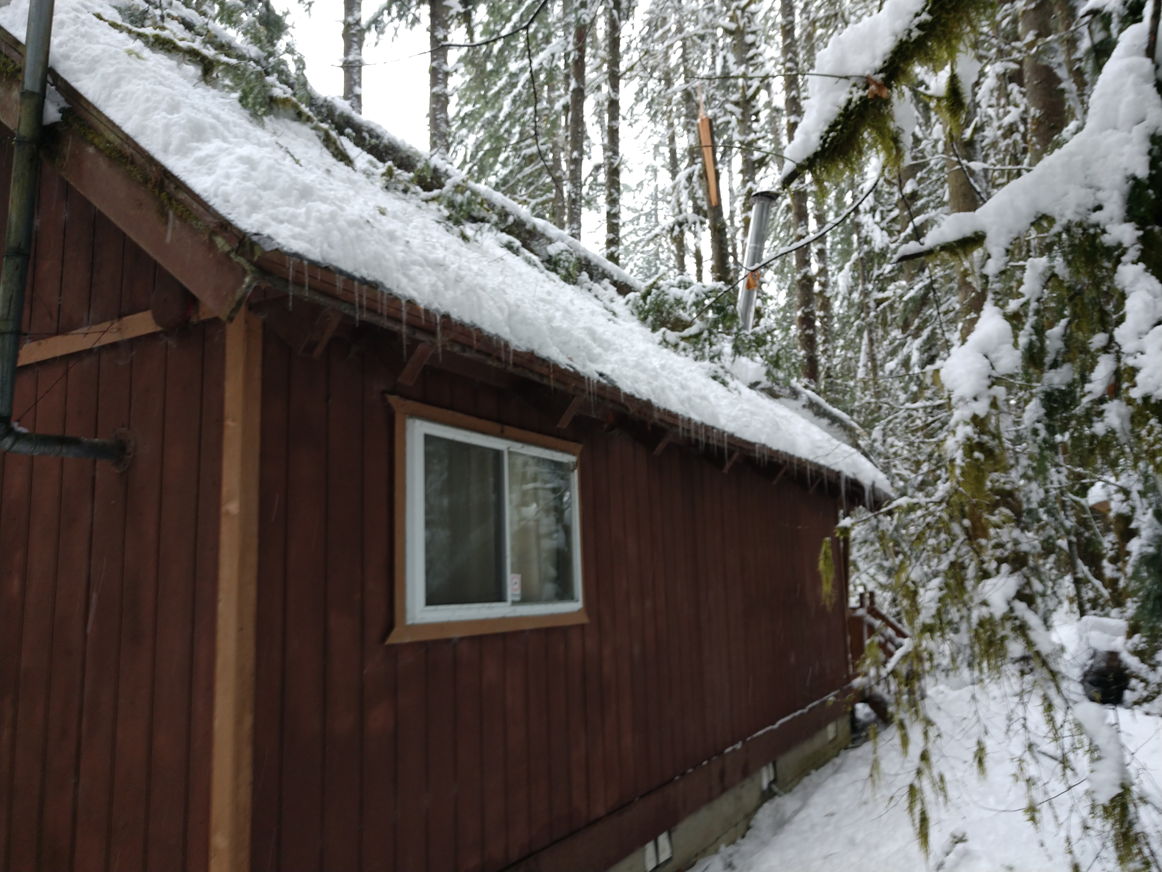 A cabin covered in snow with a tree having fallen on its roof
